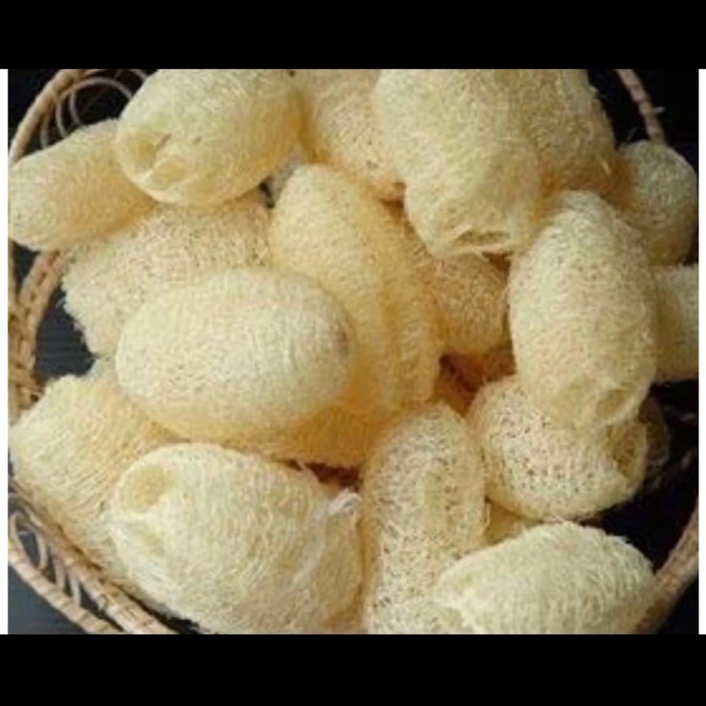 Set of 10 natural loofah sponges